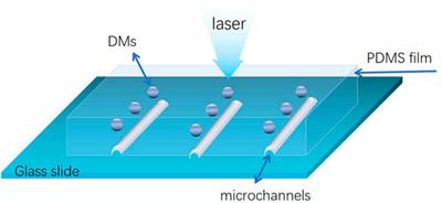 Contactless and robust dielectric microspheres-assisted surface-enhanced Raman scattering sensitivity improvement for anthrax biomarker detection